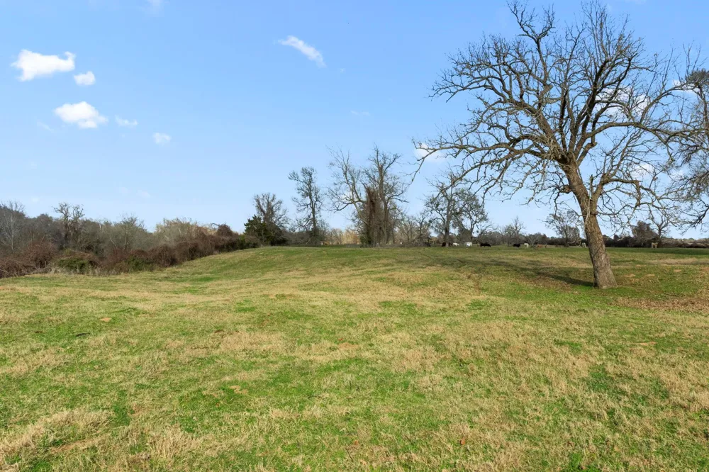 Shaws Bend Rd Columbus, TX 78934