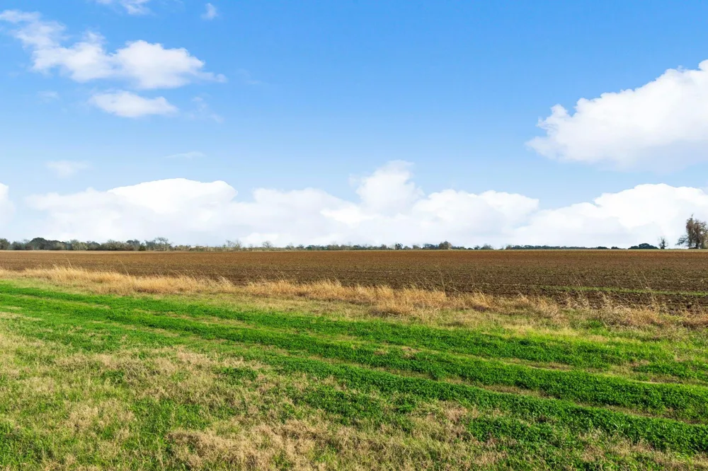 Shaws Bend Rd Columbus, TX 78934