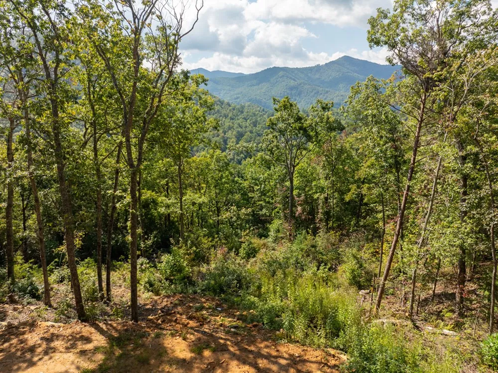 Cedar Creek Farm Road Tuckasegee, NC 28783