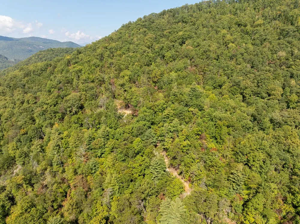Cedar Creek Farm Road Tuckasegee, NC 28783