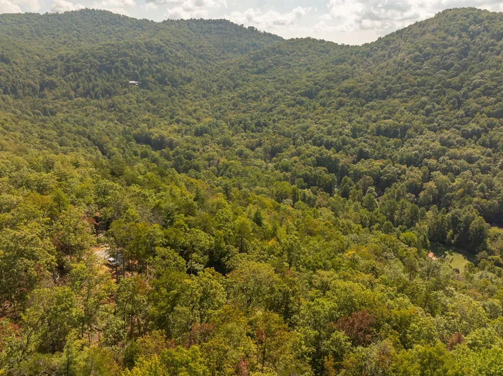 Cedar Creek Farm Road Tuckasegee, NC 28783