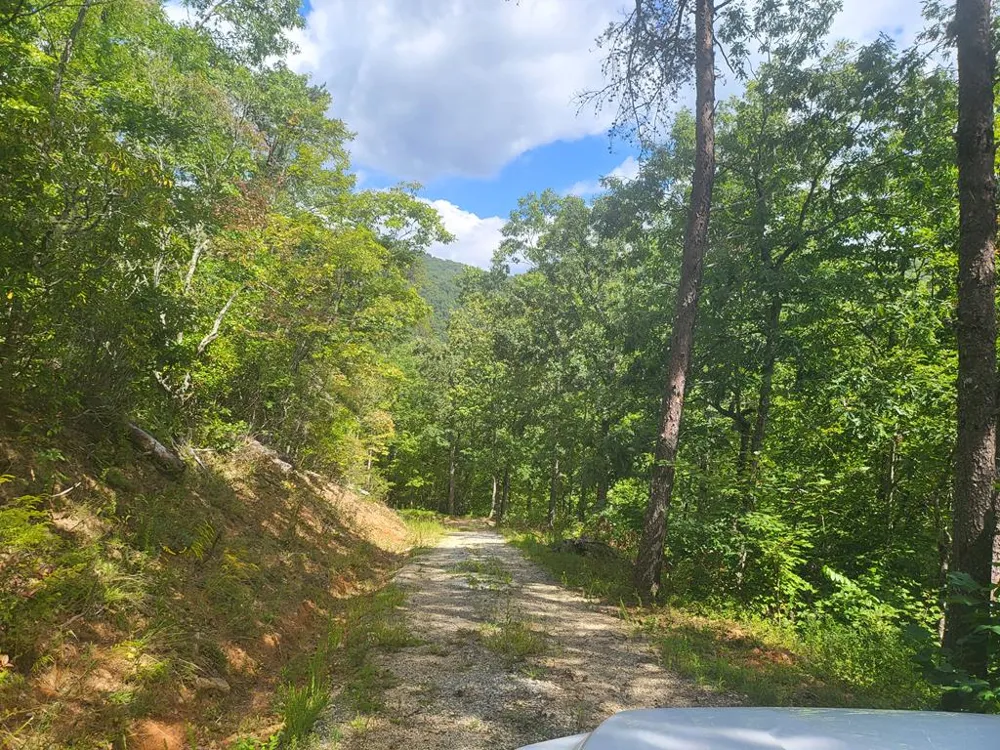 Cedar Creek Farm Road Tuckasegee, NC 28783