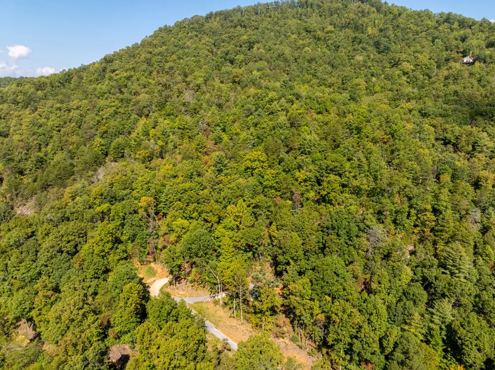 Cedar Creek Farm Road Tuckasegee, NC 28783