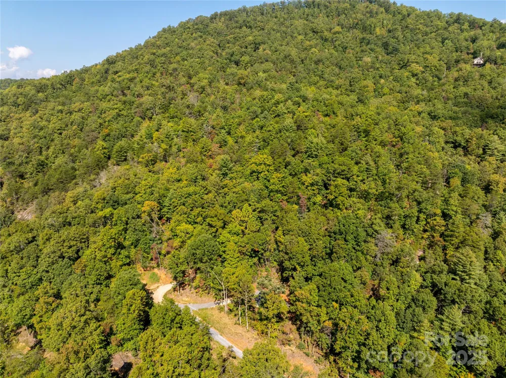 8888 Cedar Creek Farm Road Tuckasegee, NC 28783
