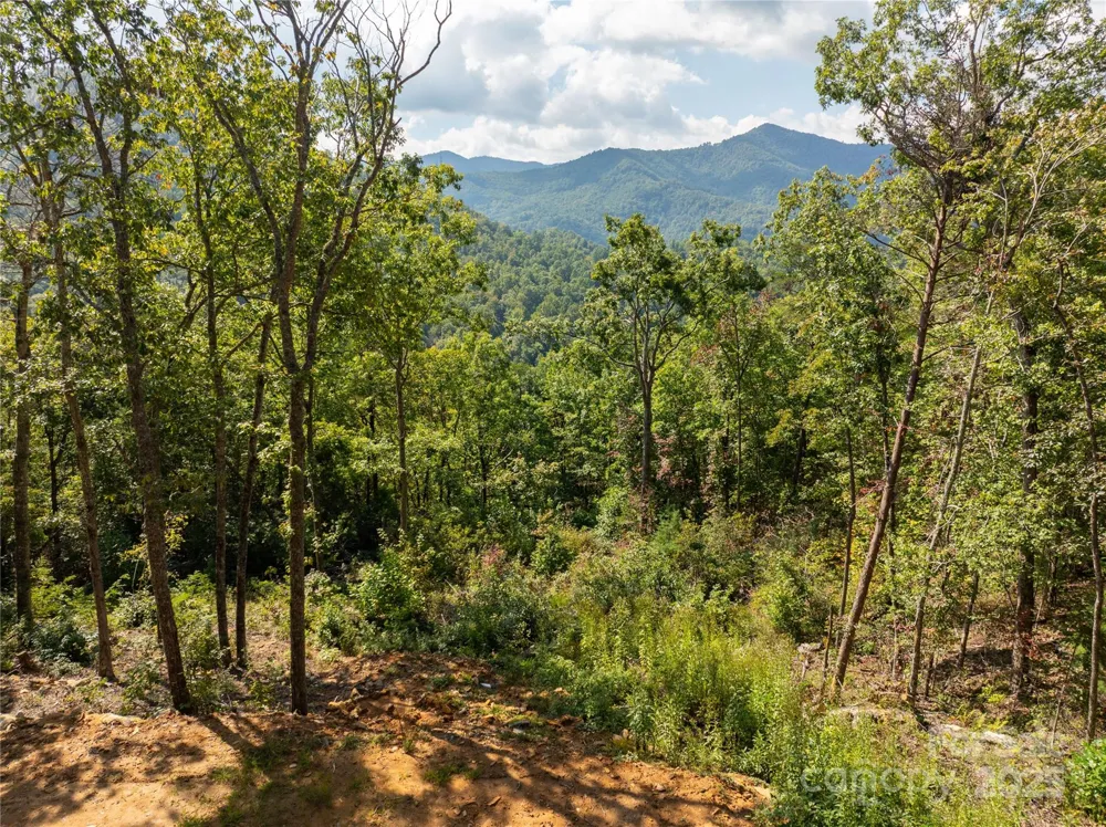 8888 Cedar Creek Farm Road Tuckasegee, NC 28783