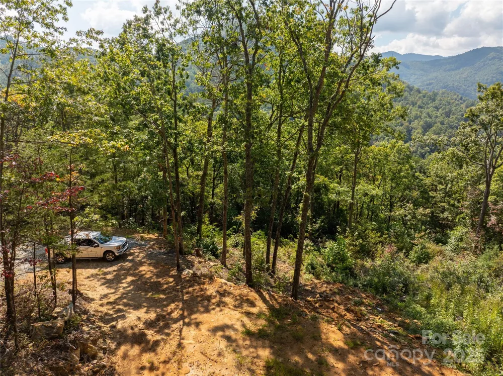 8888 Cedar Creek Farm Road Tuckasegee, NC 28783