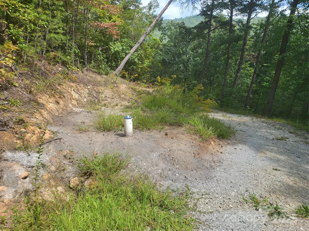 8888 Cedar Creek Farm Road Tuckasegee, NC 28783