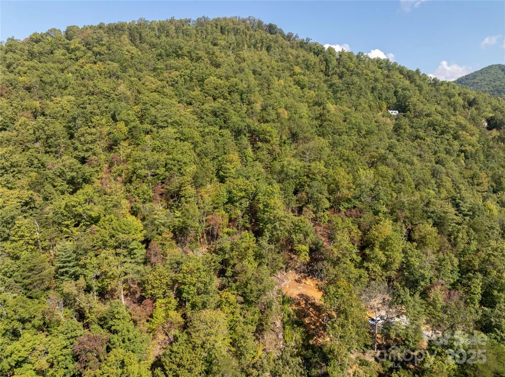 8888 Cedar Creek Farm Road Tuckasegee, NC 28783