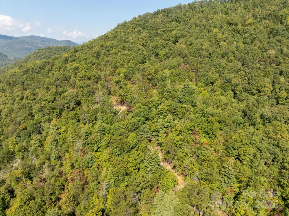8888 Cedar Creek Farm Road Tuckasegee, NC 28783