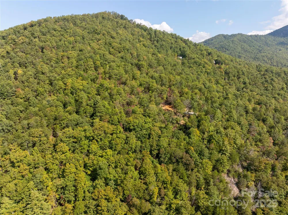 8888 Cedar Creek Farm Road Tuckasegee, NC 28783
