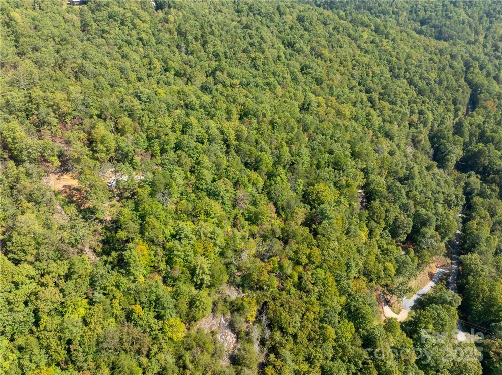 8888 Cedar Creek Farm Road Tuckasegee, NC 28783
