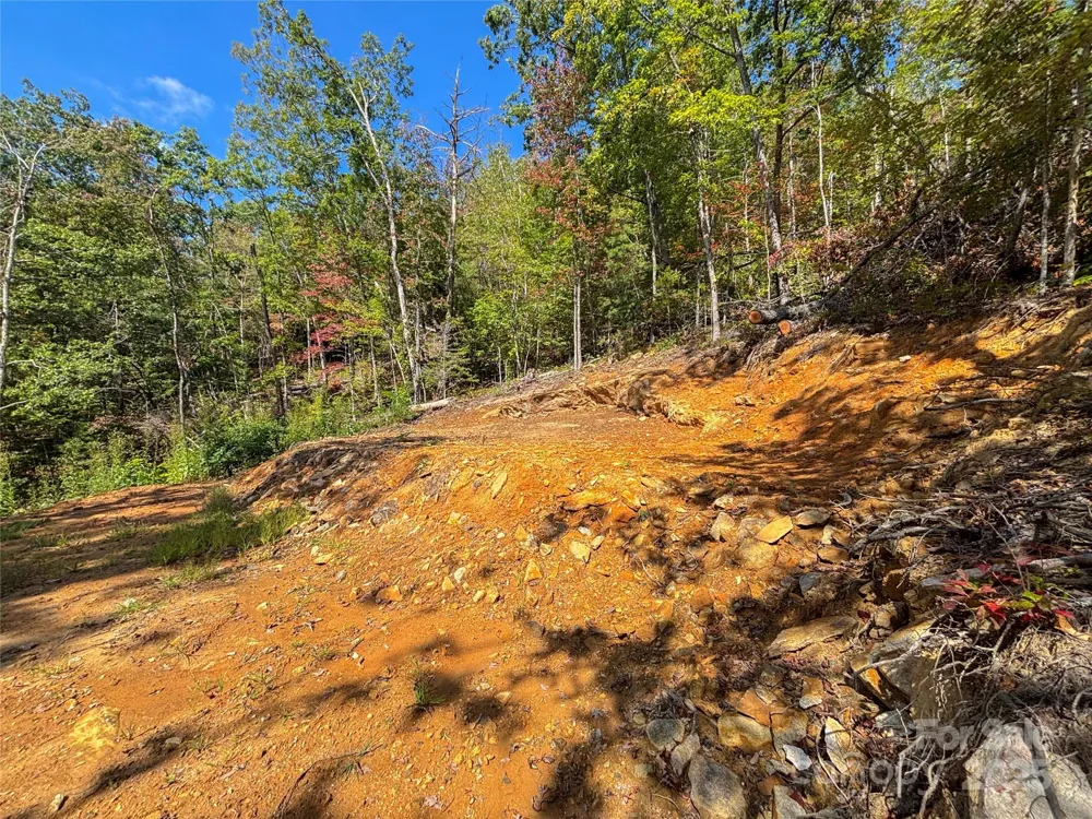 8888 Cedar Creek Farm Road Tuckasegee, NC 28783