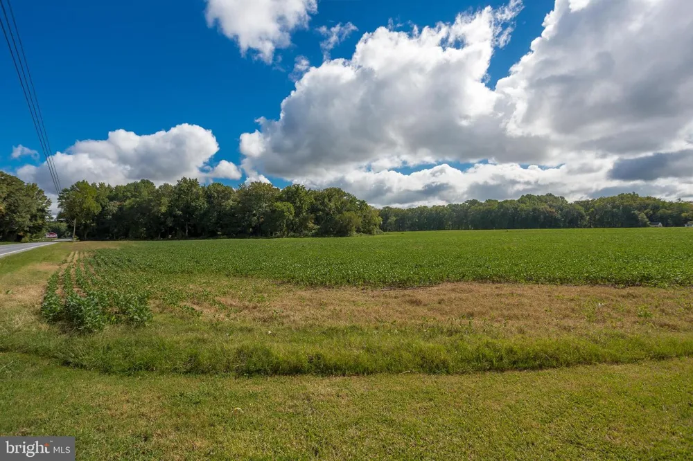 7751 DIVIDING CREEK Pocomoke, MD 21851