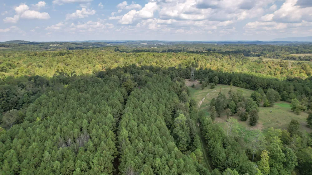 8093 Wright Lane NE Cleveland, TN 37323