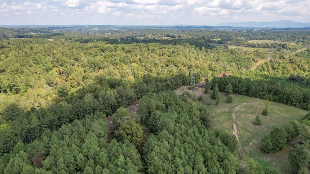 8093 Wright Lane NE Cleveland, TN 37323