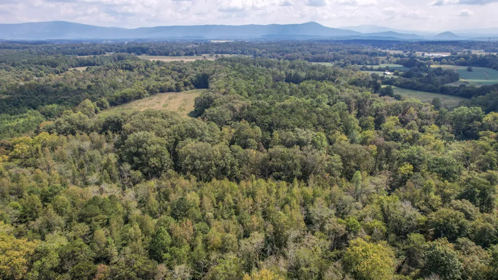 8093 Wright Lane NE Cleveland, TN 37323