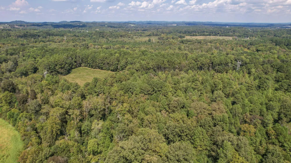 8093 Wright Lane NE Cleveland, TN 37323