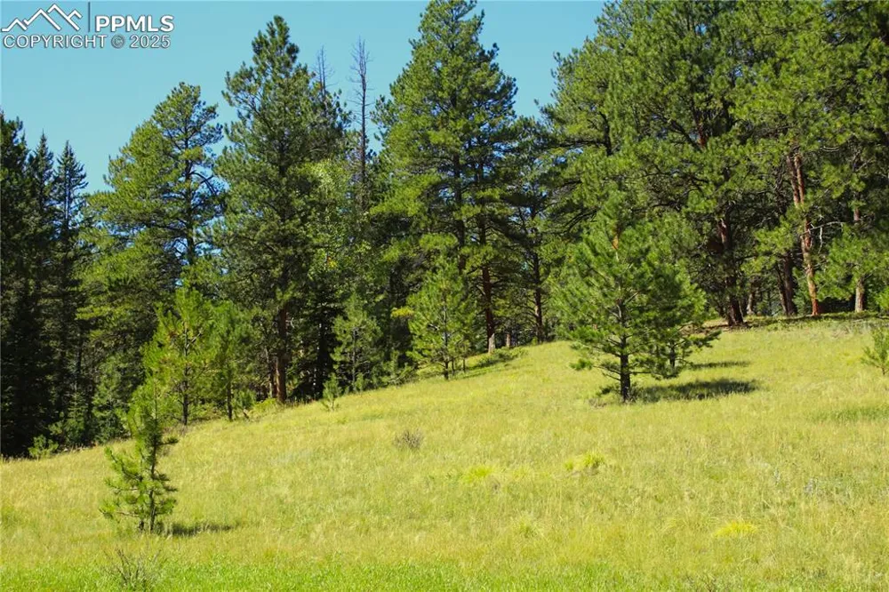 6500 County Road 5 Divide, CO 80814