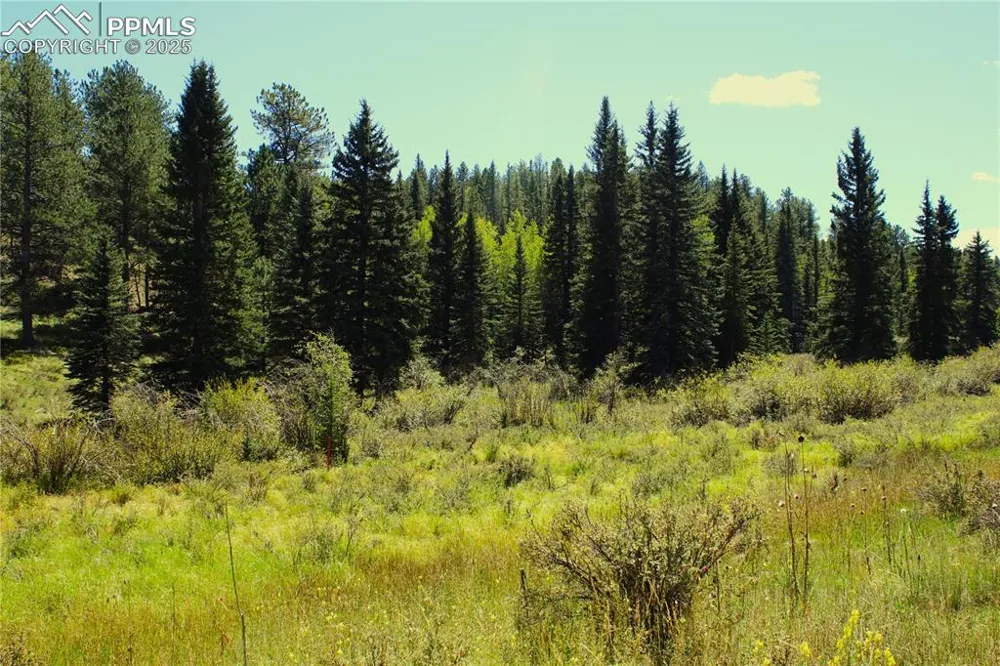 6500 County Road 5 Divide, CO 80814