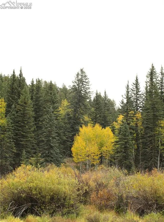 6500 County Road 5 Divide, CO 80814