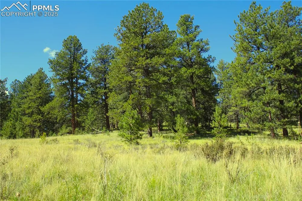 6500 County Road 5 Divide, CO 80814