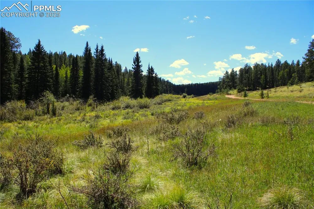6500 County Road 5 Divide, CO 80814