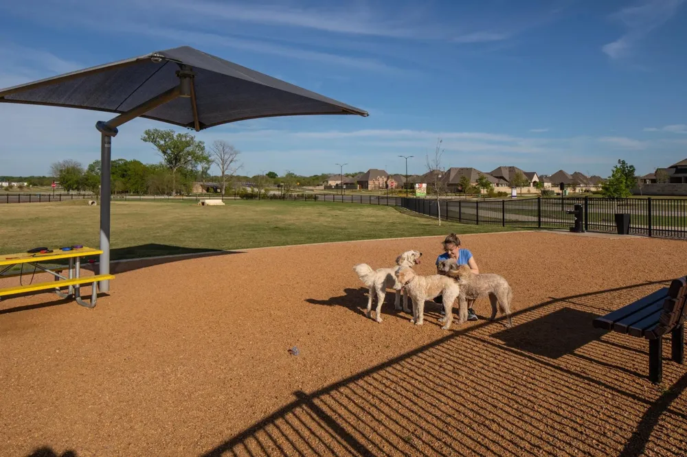 240 S Bee Balm Road McKinney, TX 75071