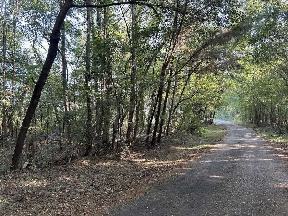 1229 Spraglin Road Pittsburg, TX 75686