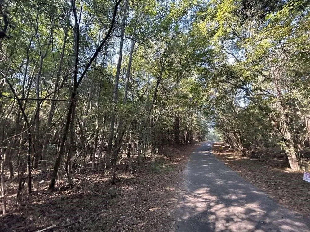 1229 Spraglin Road Pittsburg, TX 75686