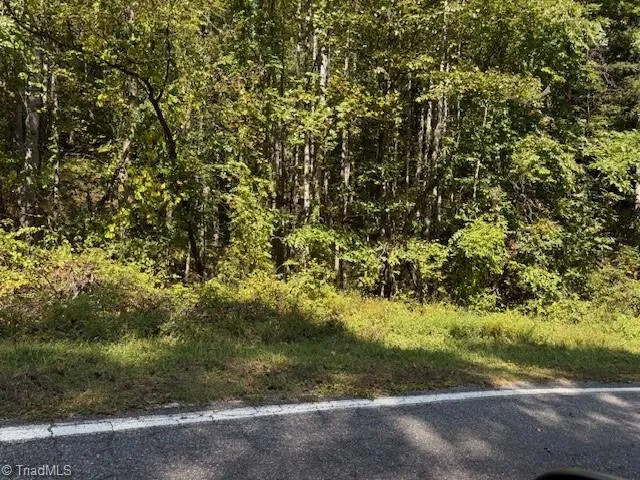 8 Arlie Myers Store Road #8 McGrady, NC 28649