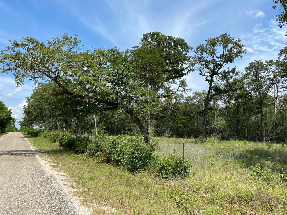 High Crossing Rd - TRACT 8 Smithville, TX 78957