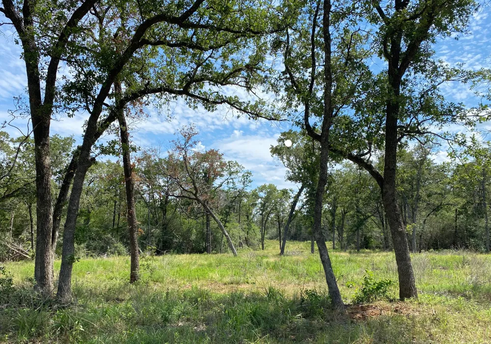 High Crossing Rd - TRACT 8 Smithville, TX 78957