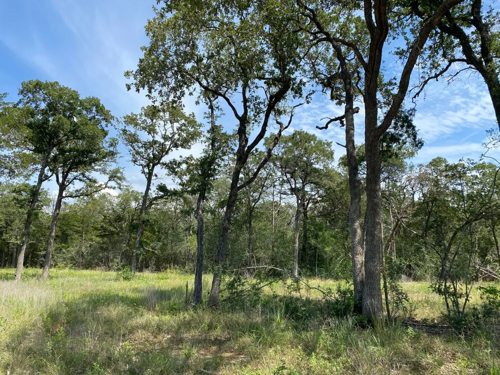 High Crossing Rd - TRACT 8 Smithville, TX 78957