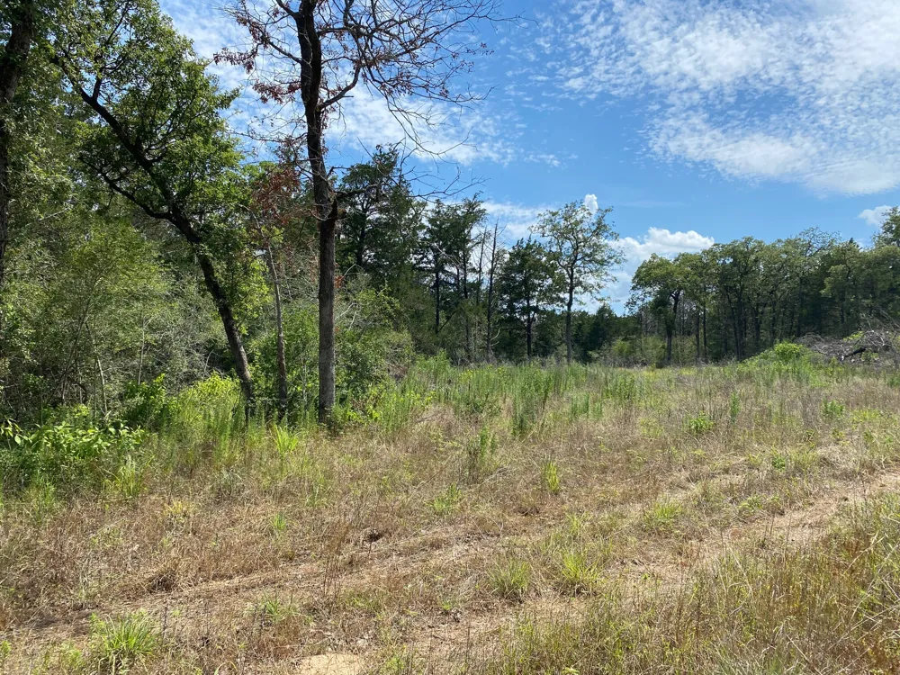 High Crossing Rd - TRACT 8 Smithville, TX 78957