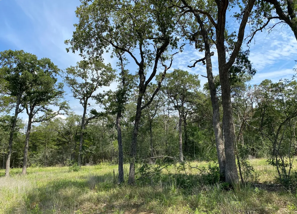 High Crossing Rd - TRACT 8 Smithville, TX 78957