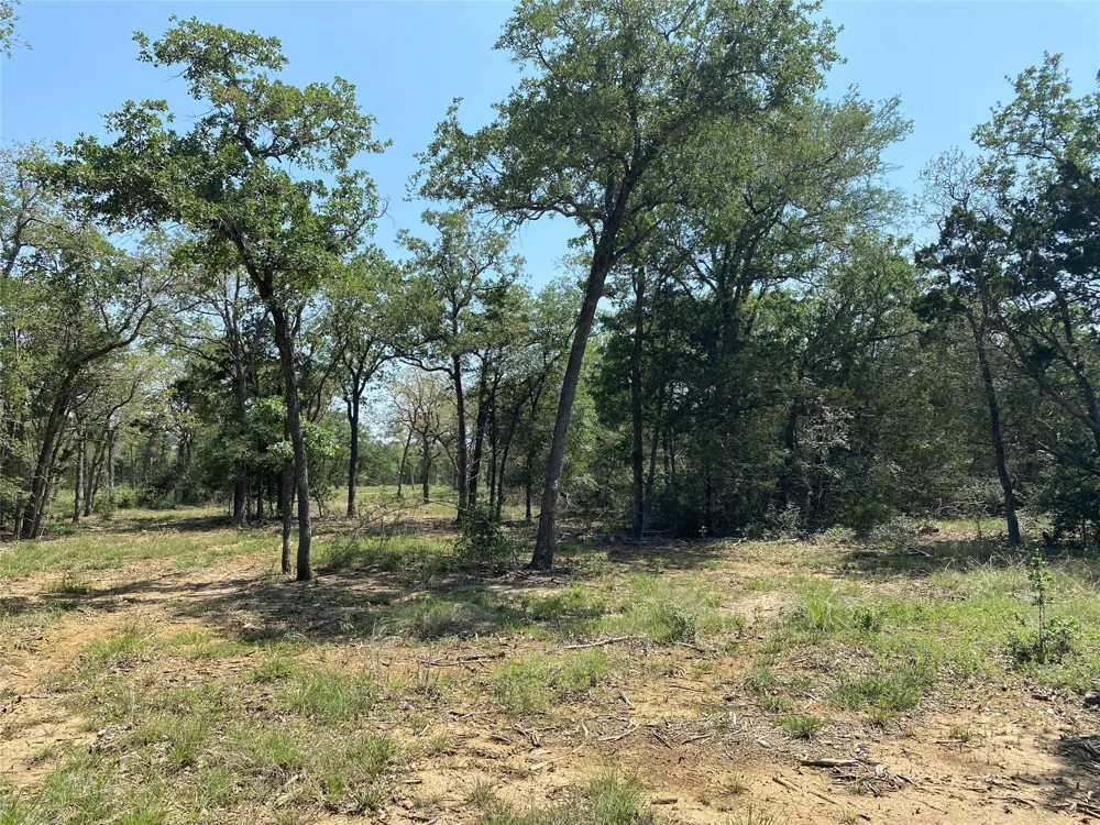 High Crossing Rd - TRACT 8 Smithville, TX 78957