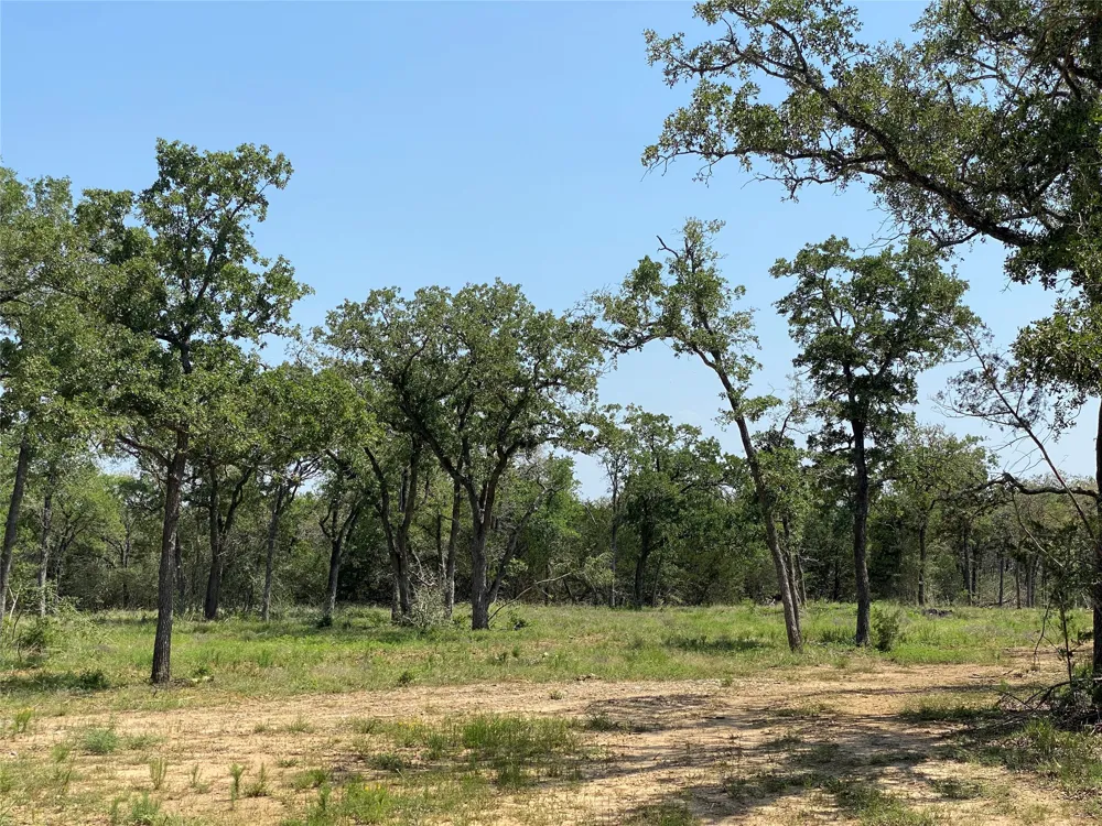 High Crossing Rd - TRACT 8 Smithville, TX 78957