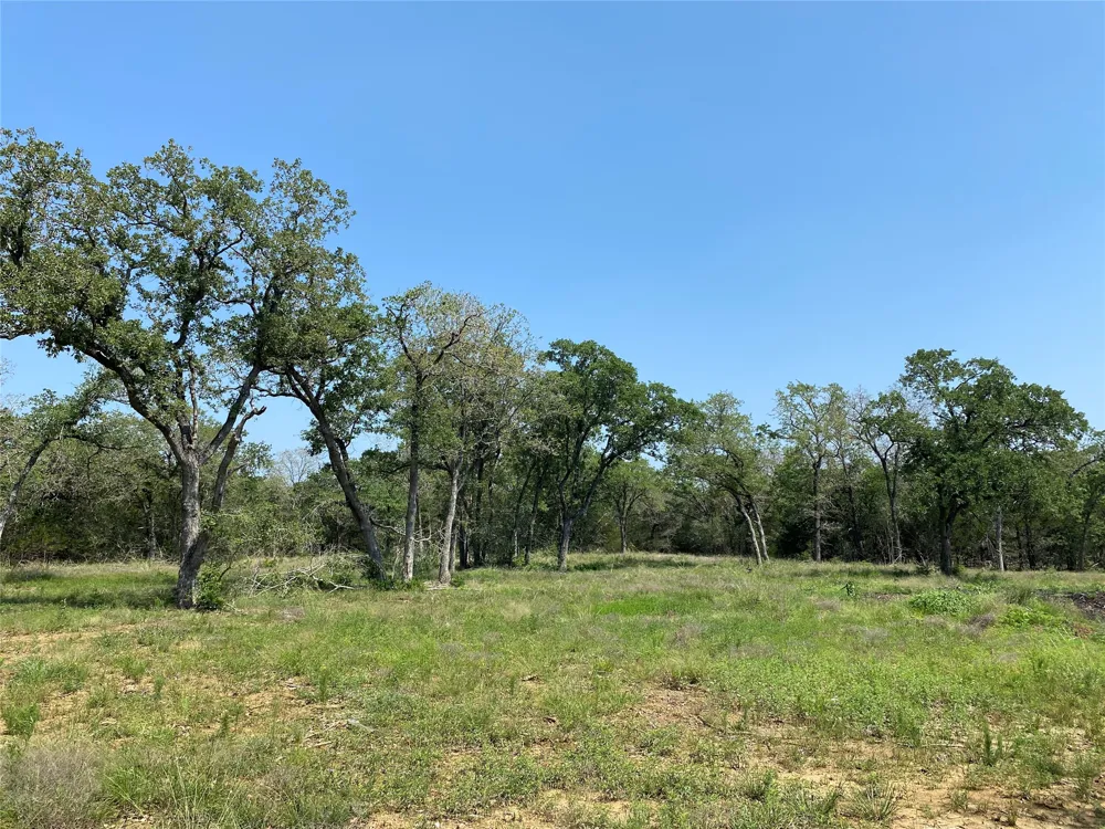 High Crossing Rd - TRACT 8 Smithville, TX 78957