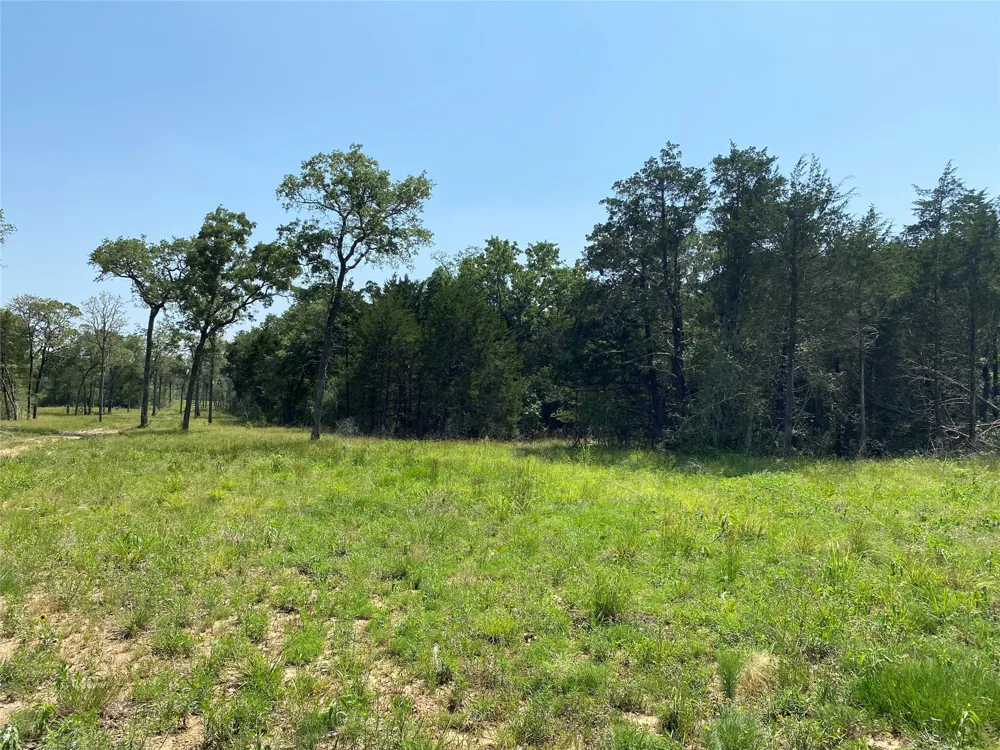 High Crossing Rd - TRACT 8 Smithville, TX 78957