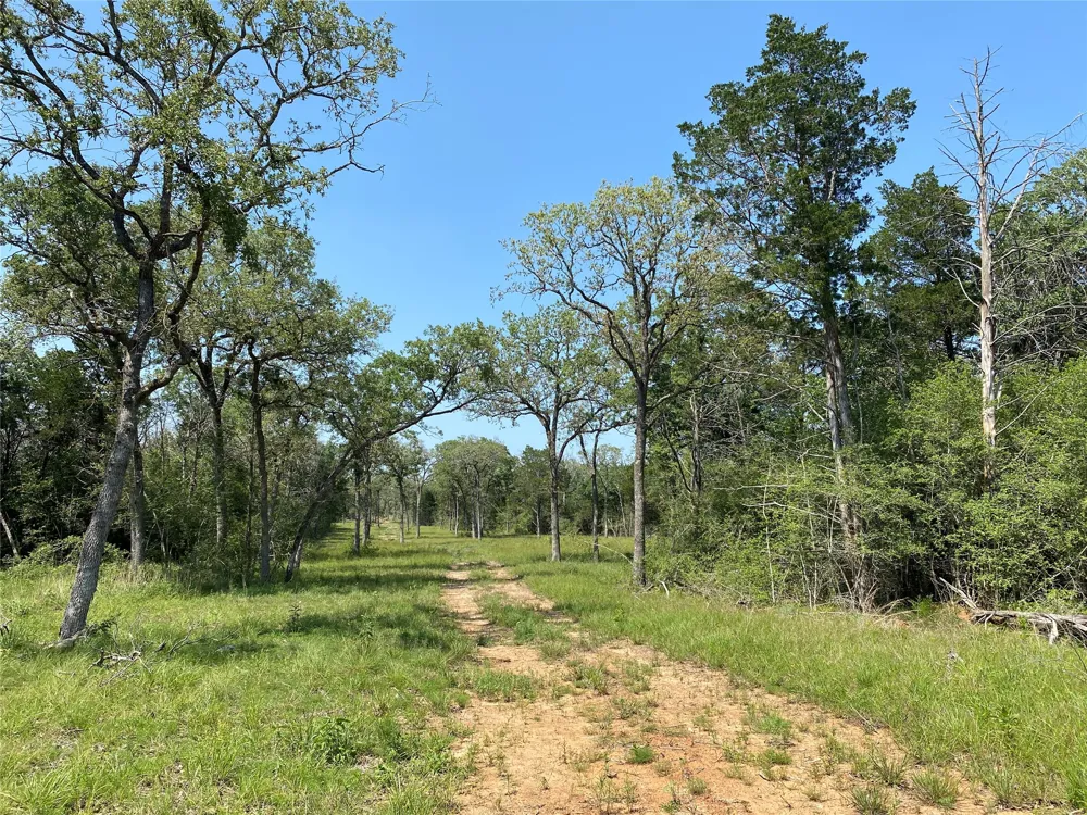 High Crossing Rd - TRACT 8 Smithville, TX 78957