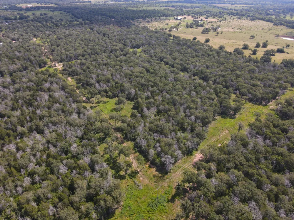 High Crossing Rd - TRACT 8 Smithville, TX 78957