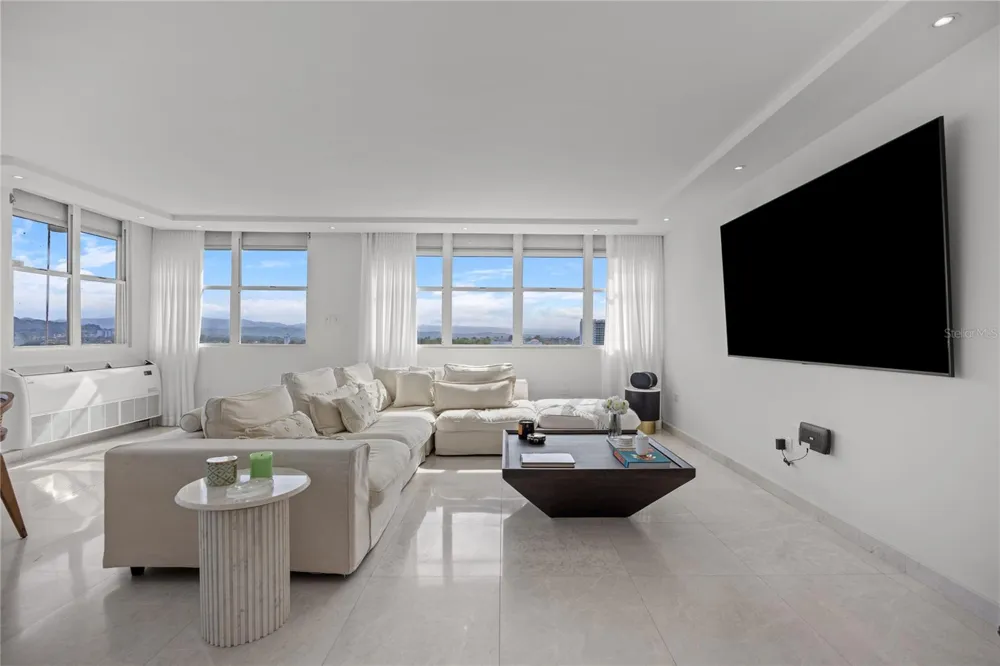 225 ROAD NO 2, VILLA CAPARRA PLAZA #PH-3 Guaynabo, PR 00966