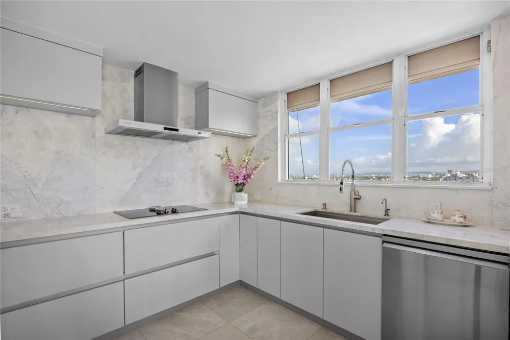 225 ROAD NO 2, VILLA CAPARRA PLAZA #PH-3 Guaynabo, PR 00966