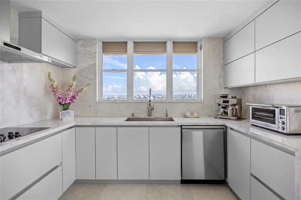 225 ROAD NO 2, VILLA CAPARRA PLAZA #PH-3 Guaynabo, PR 00966