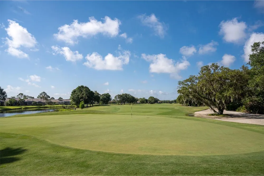 5270 HYLAND HILLS AVENUE #1724 Sarasota, FL 34241