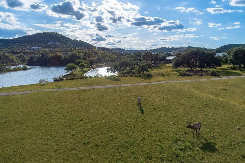 234 Elk Run Cove Blanco, TX 78606