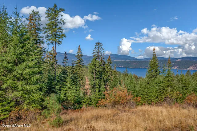 9130 S LAHAINA ROAD Harrison, ID 83833