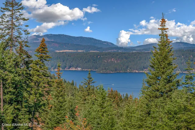 9130 S LAHAINA ROAD Harrison, ID 83833