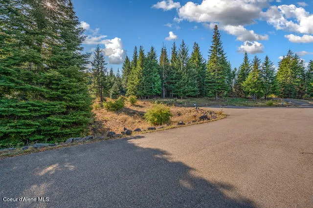 9130 S LAHAINA ROAD Harrison, ID 83833