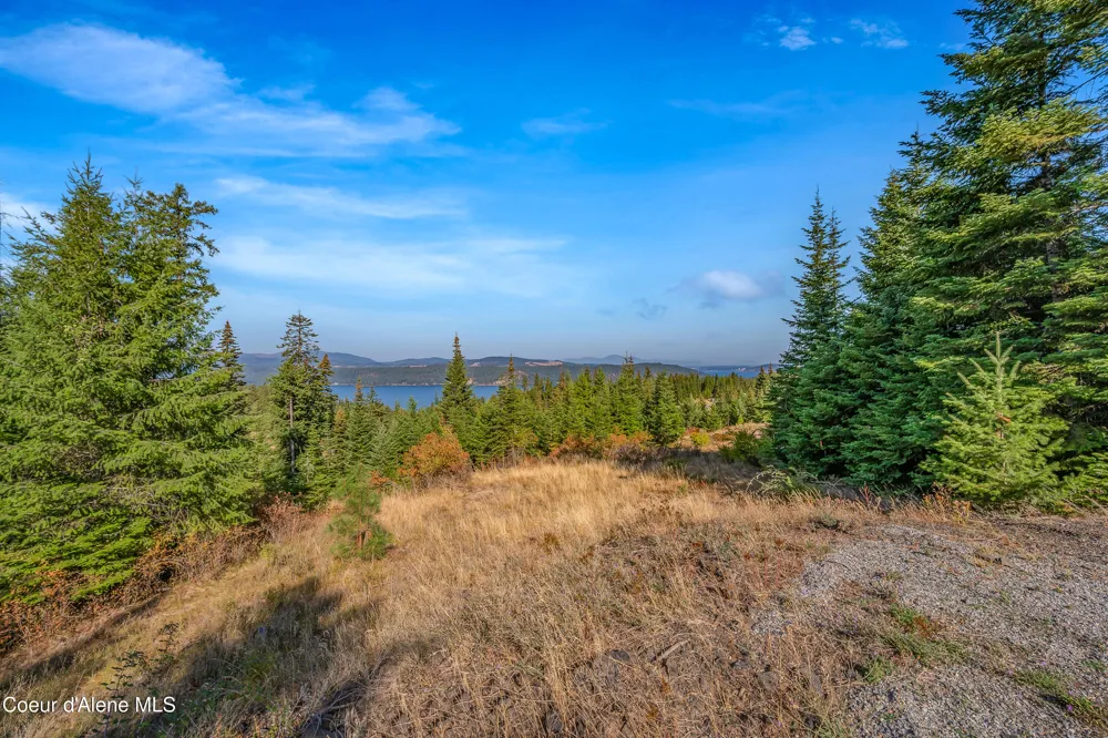9130 S LAHAINA ROAD Harrison, ID 83833